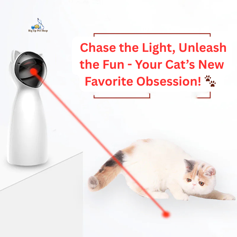 Cat toy with red laser beam and a cat chasing it, promotional text about chasing light and fun.
