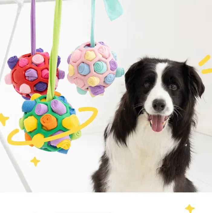 Pet Sniffing Ball Small Size Chew Toy