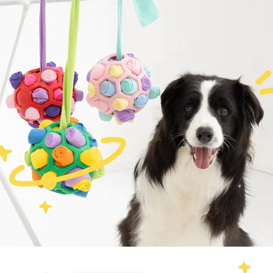 Pet Sniffing Ball Small Size Chew Toy