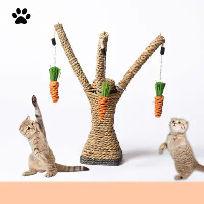 Cat toy with hanging carrots and a cat interacting with it on a white background