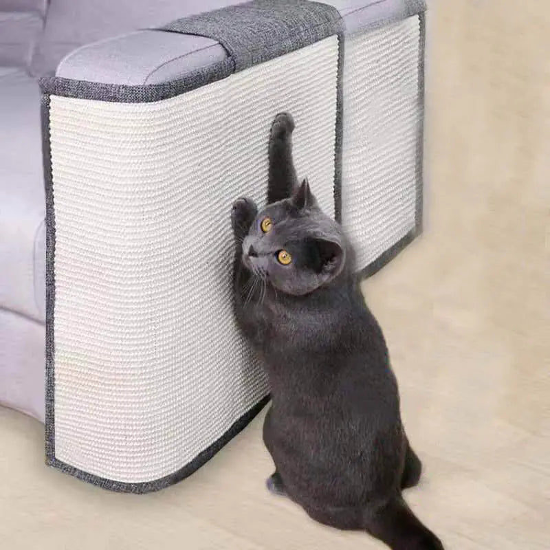 Cat interacting with a cat scratcher on a couch