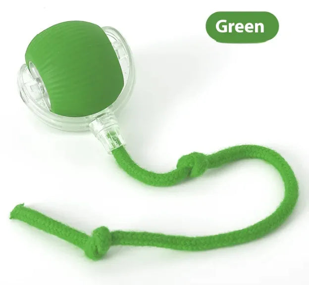 Green pacifier with a clear case and green cord on a white background
