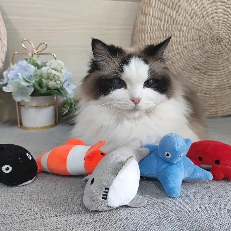 Cat sitting on a couch with colorful plush toys