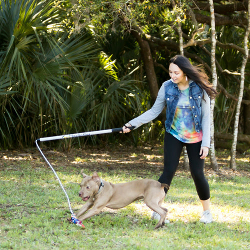 Woman walking a dog on a leash in a park with greenery in the background