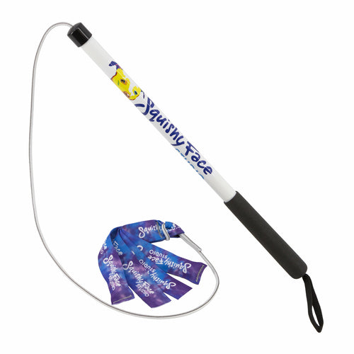 White and black whip with colorful design on a white background