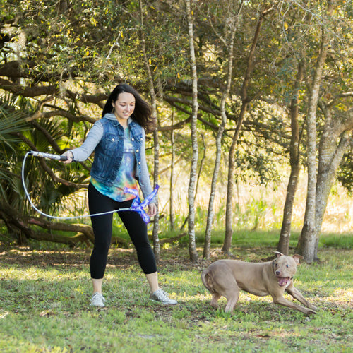 Woman playing with a dog in a park