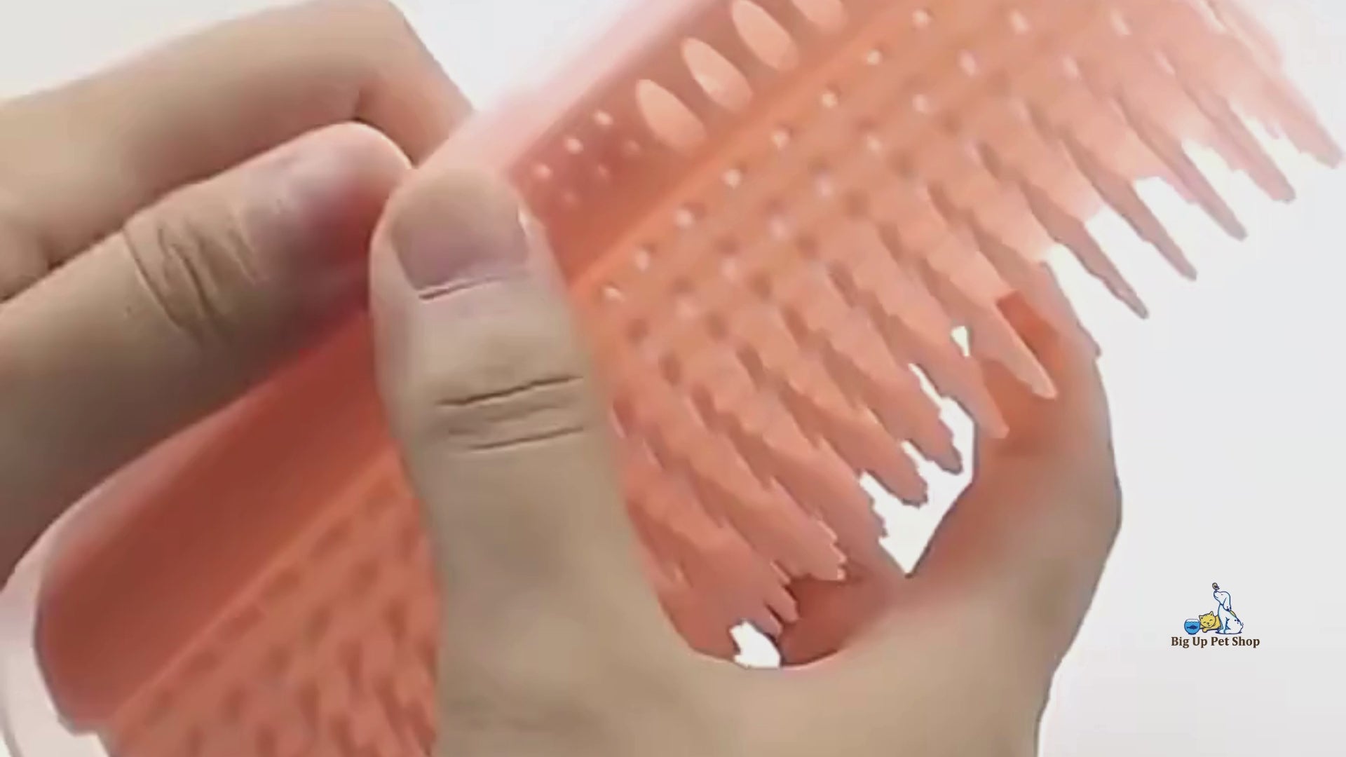 A gray cat rubs against the Big Up Pet Shop ROLUXENTIA Wall Roller mounted on a corner wall, self-grooming and removing loose fur. The video shows the roller’s soft bristles catching hair, the cat enjoying a gentle face massage, and an owner using the included grooming mitts to collect extra fur and bond with their pet.
