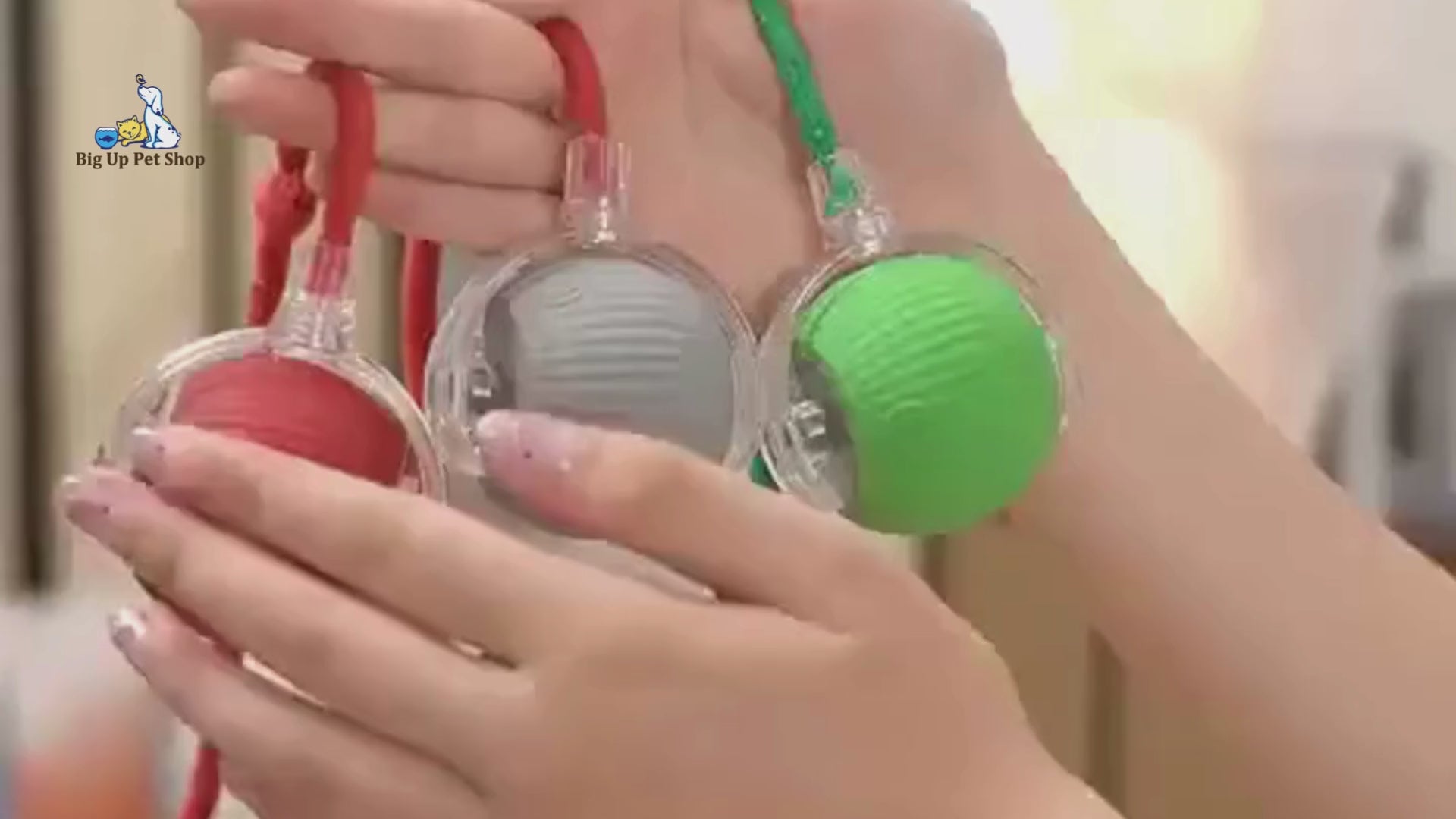 Cat and dog chase the smart self-rolling HOAIME ball that moves, avoids obstacles, and keeps pets active.