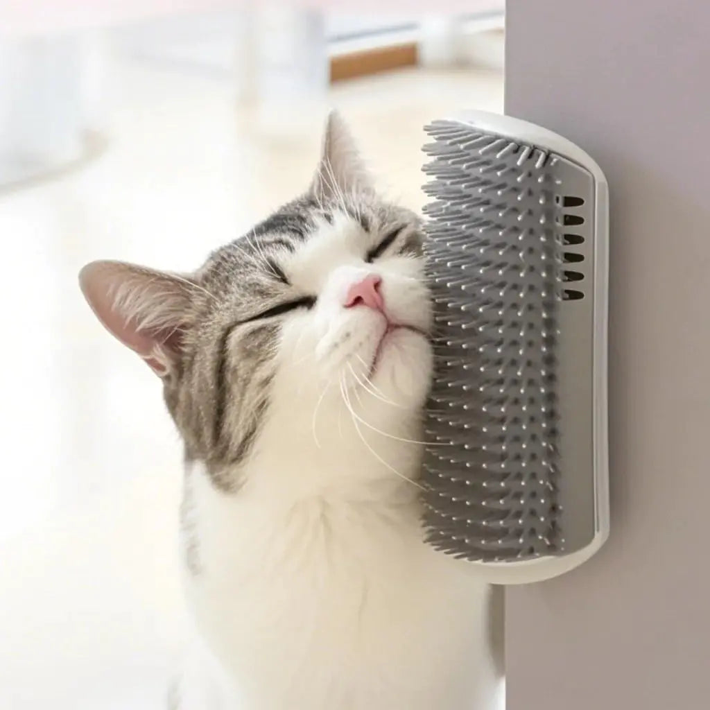 Cat using a self-grooming brush on a light-colored surface